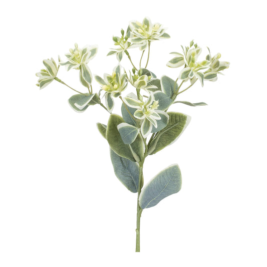 Euphorbia Floral Stem Set