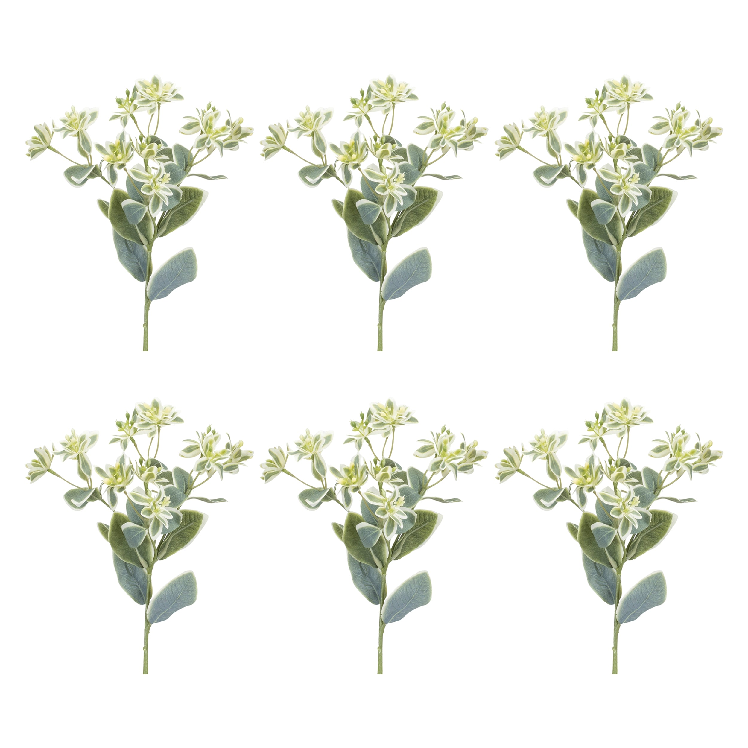 Euphorbia Floral Stem Set