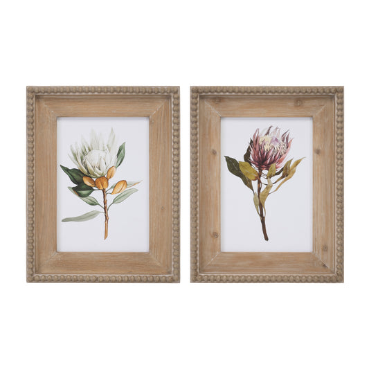 Wood Framed Protea Floral Print Set