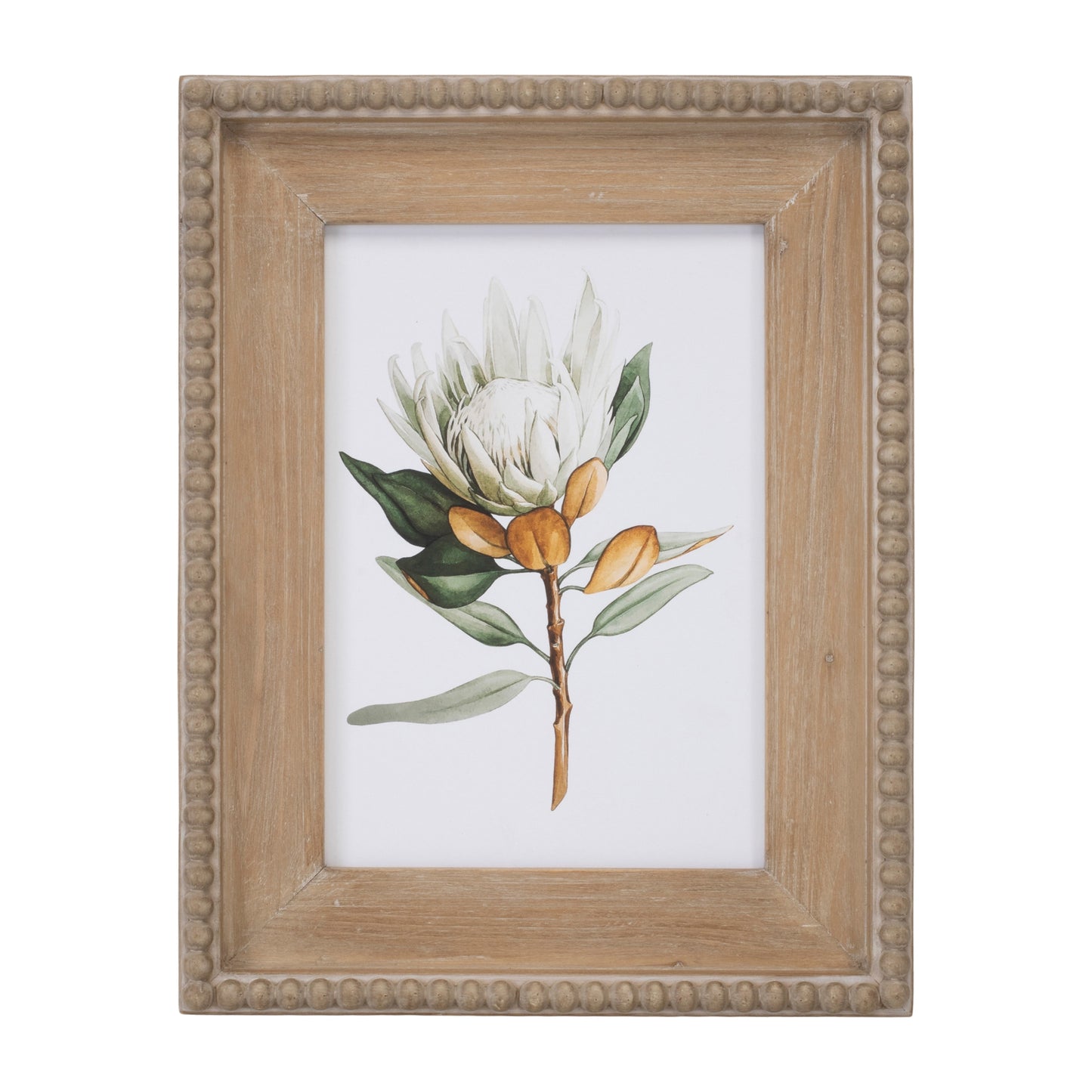 Wood Framed Protea Floral Print Set