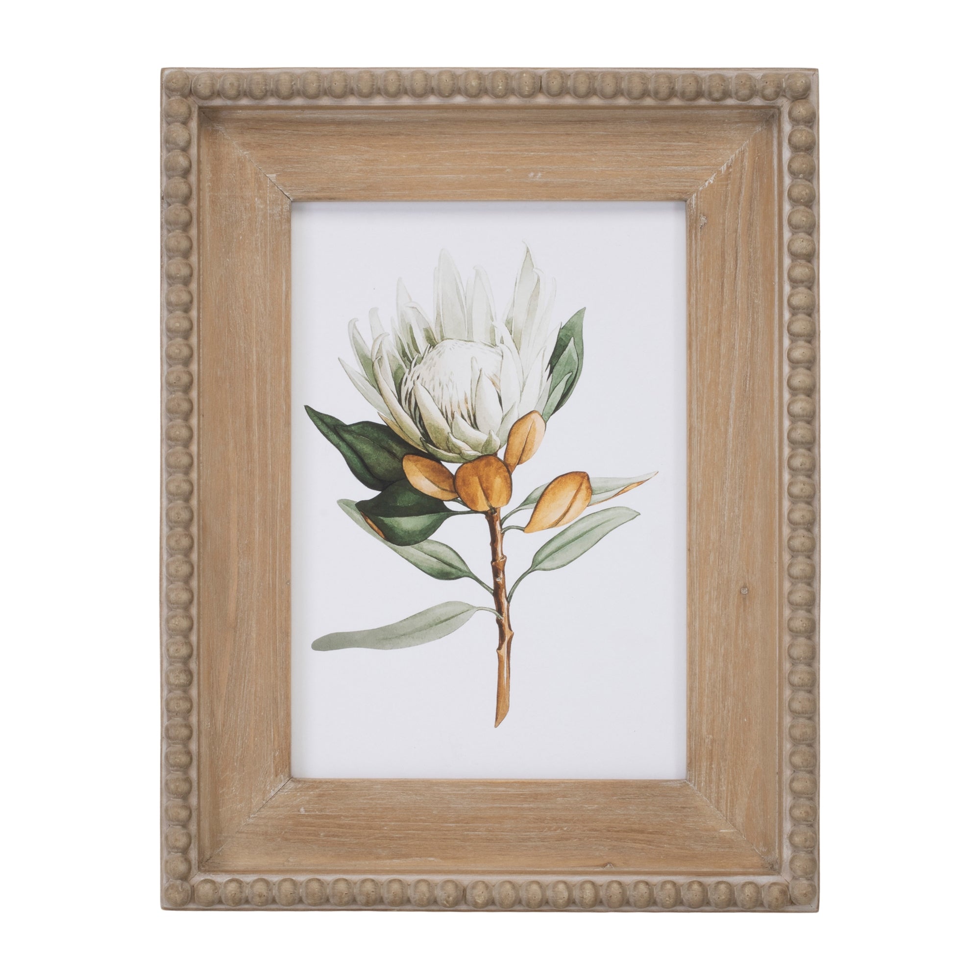 Wood Framed Protea Floral Print Set