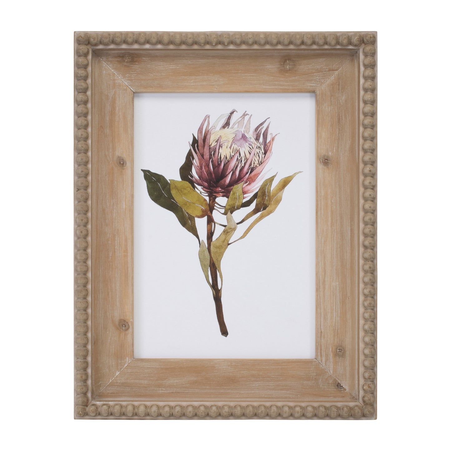 Wood Framed Protea Floral Print Set