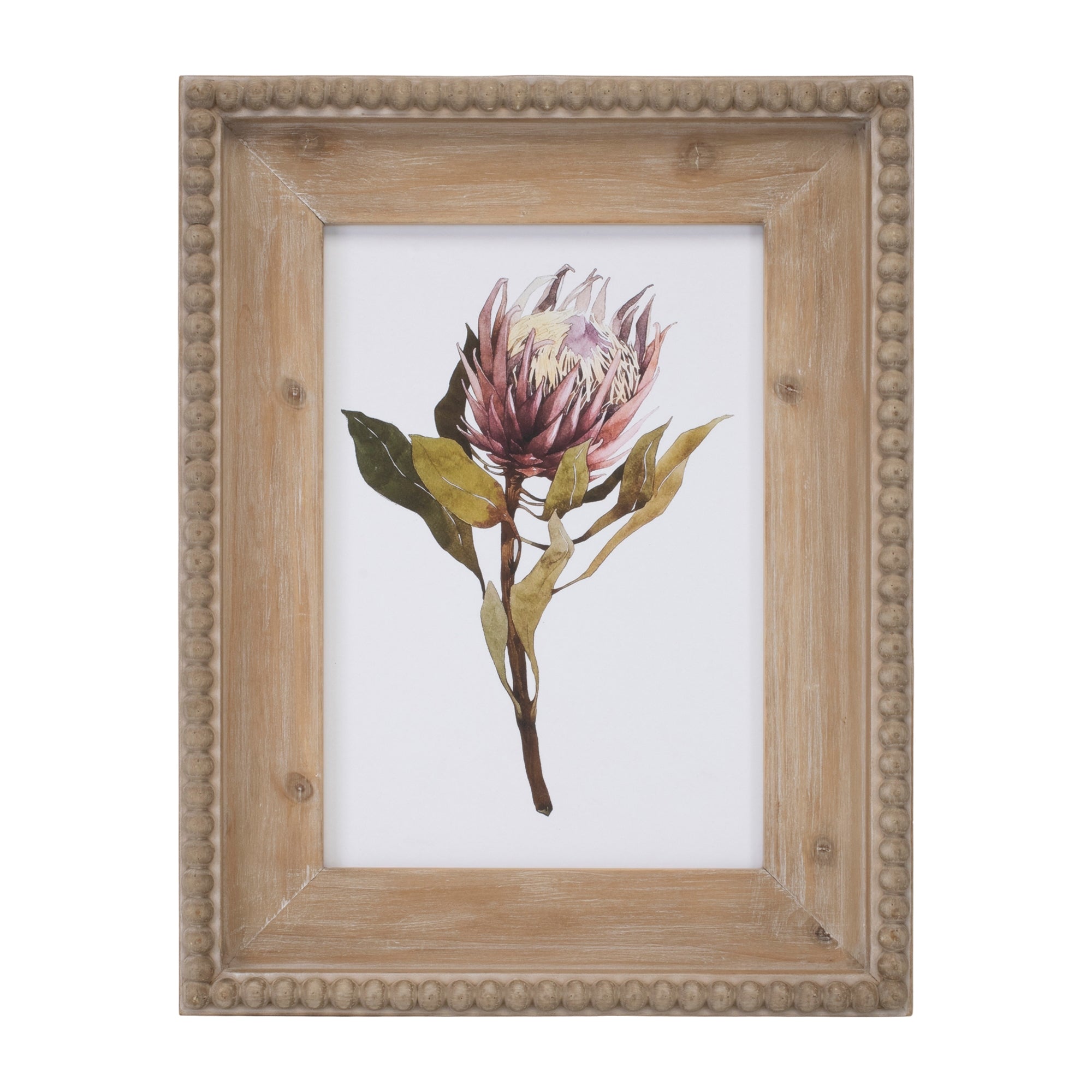 Wood Framed Protea Floral Print Set