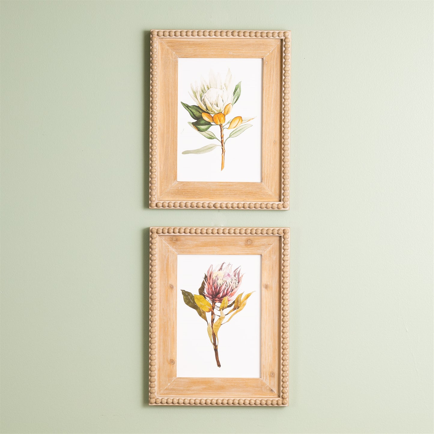 Wood Framed Protea Floral Print Set