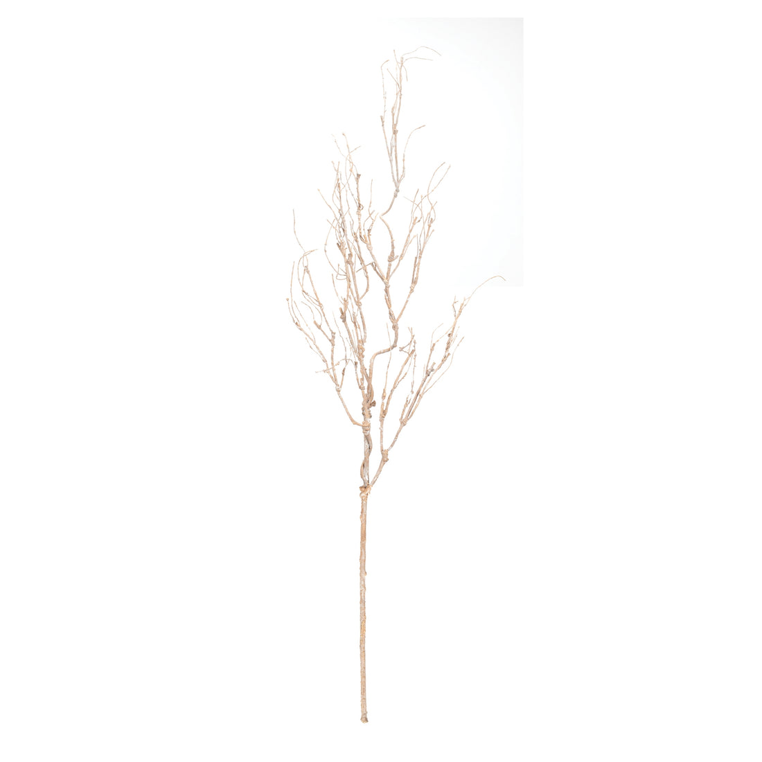 Beige Twig Branch Set