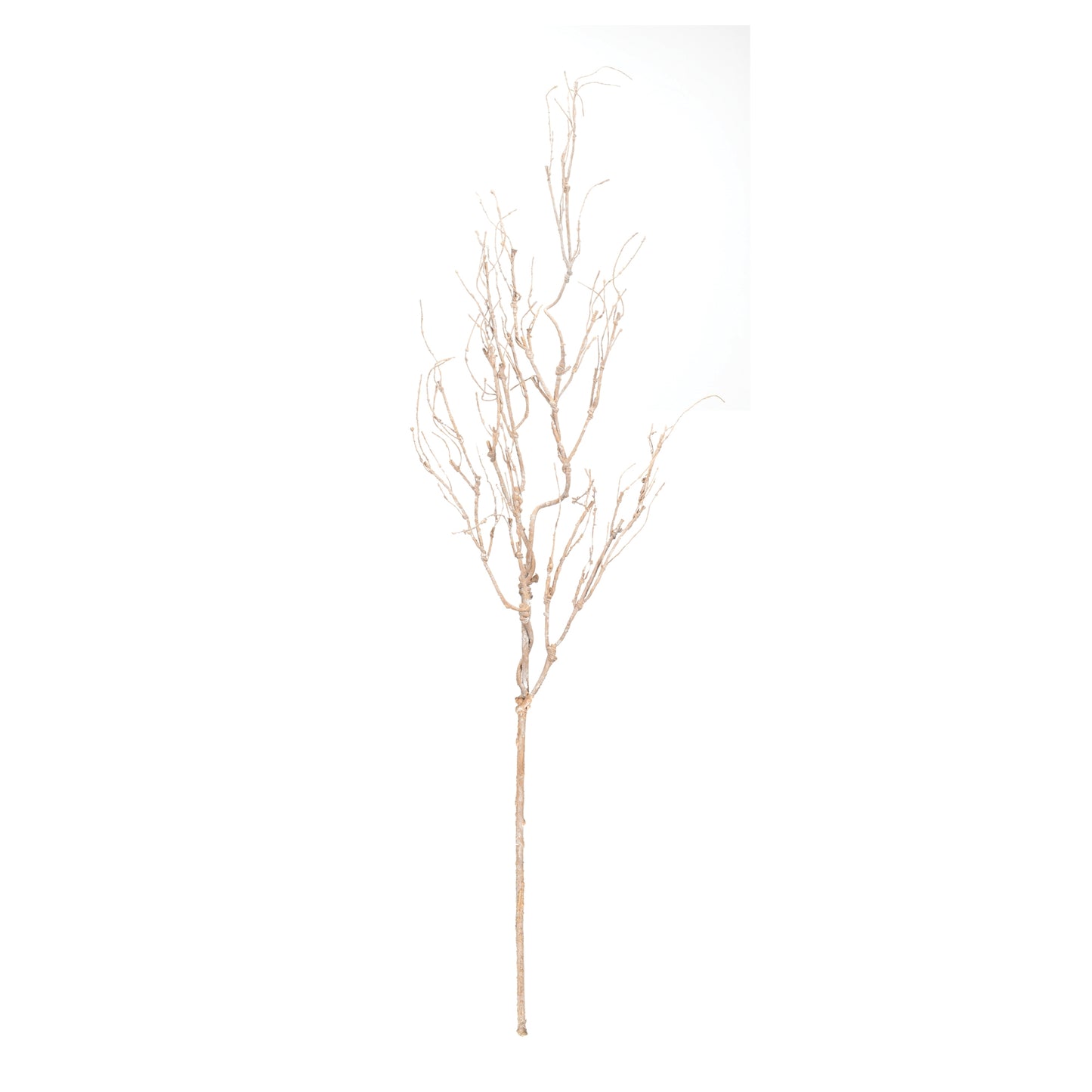 Beige Twig Branch Set