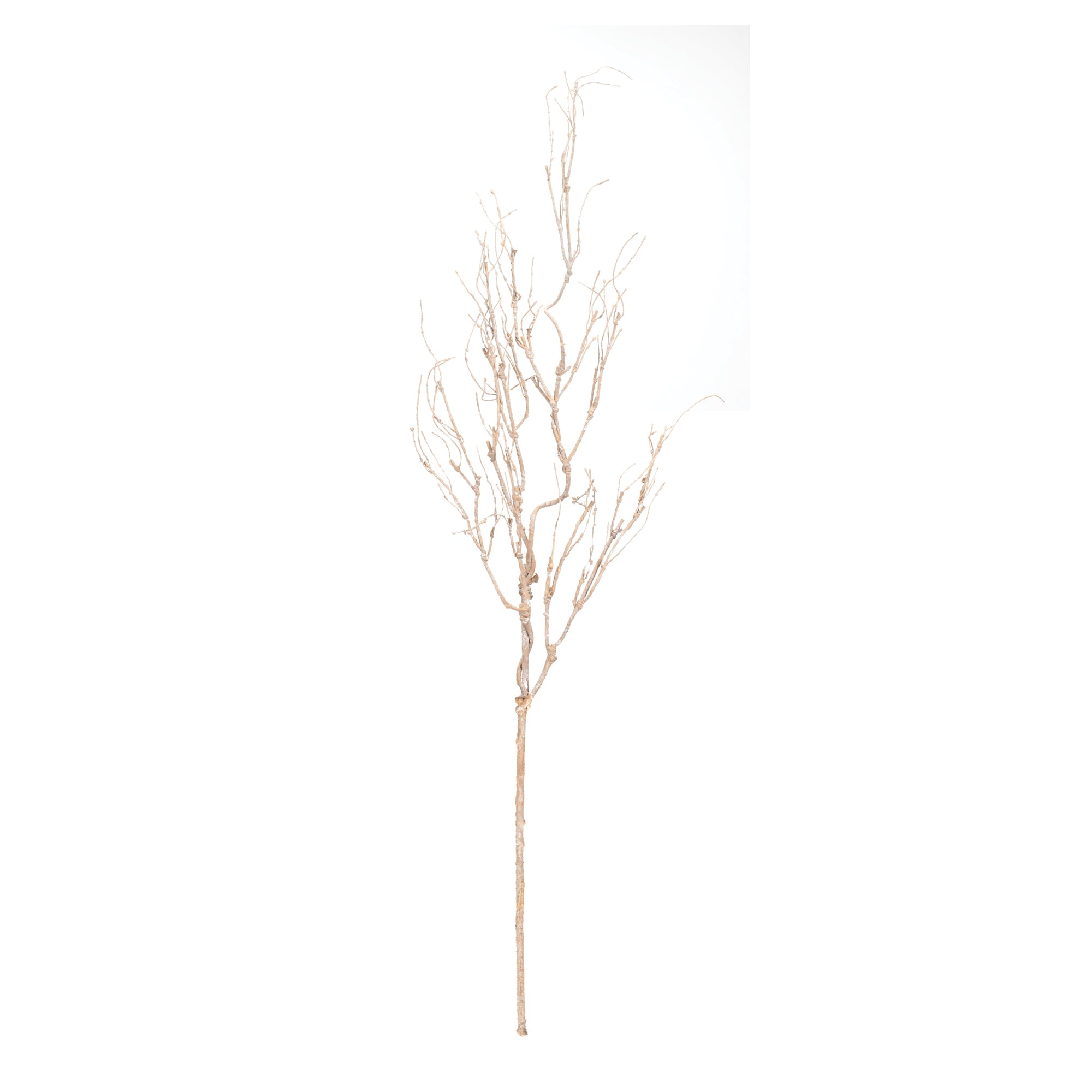 Beige Twig Branch Set