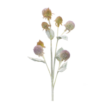 Thistle Foliage Spray Set