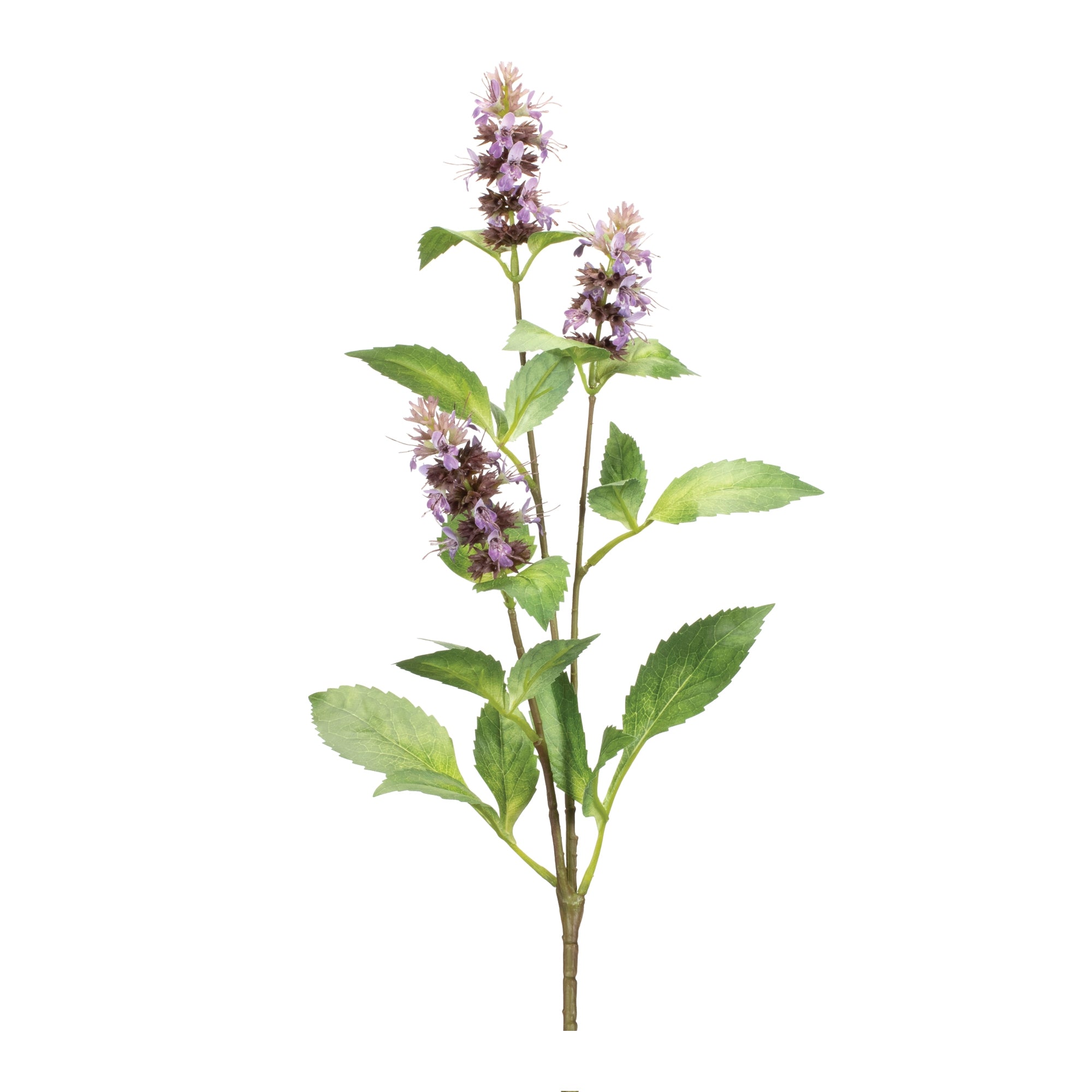 Plum Buddleia Floral Stem Set