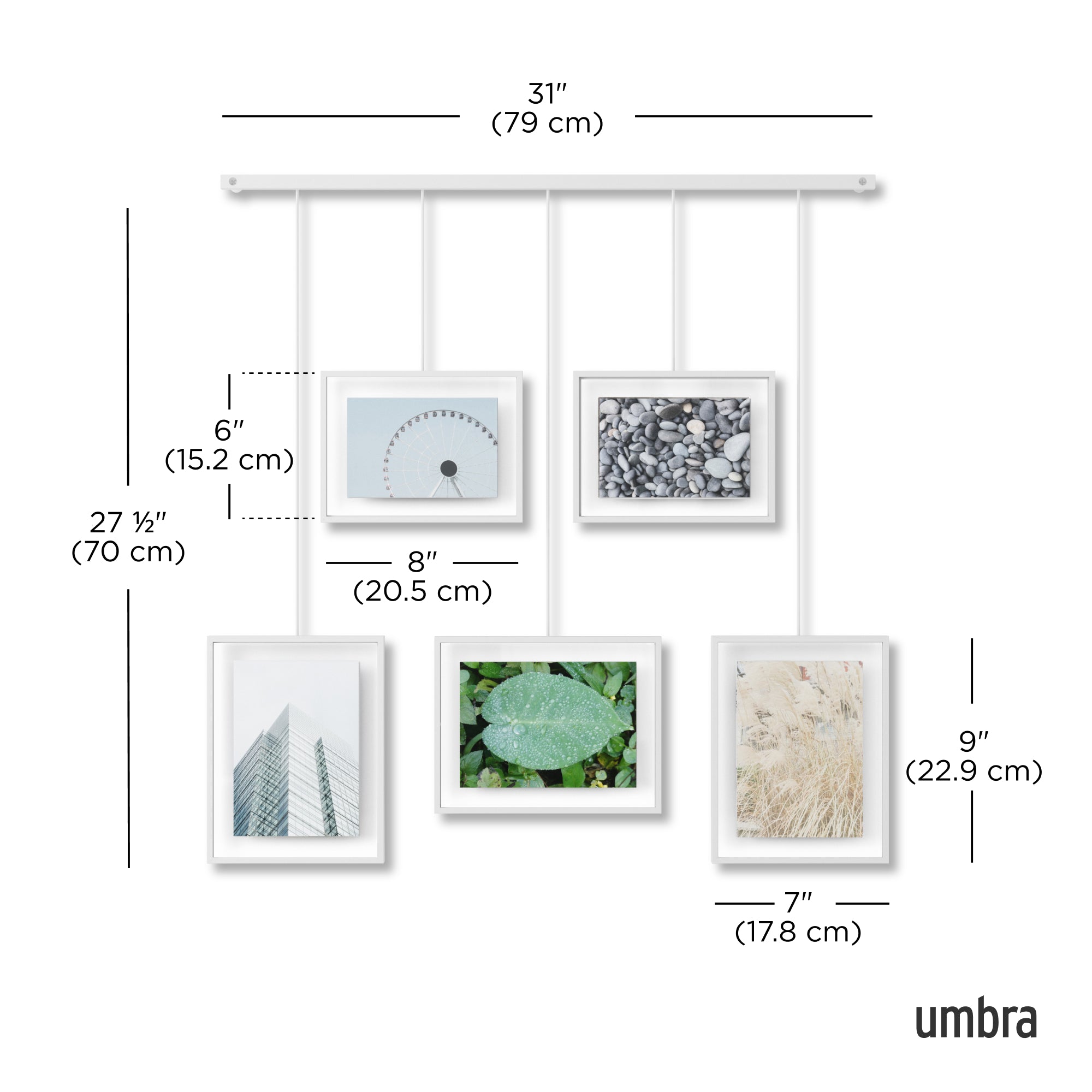 Exhibit Gallery Picture Frame Set of 5
