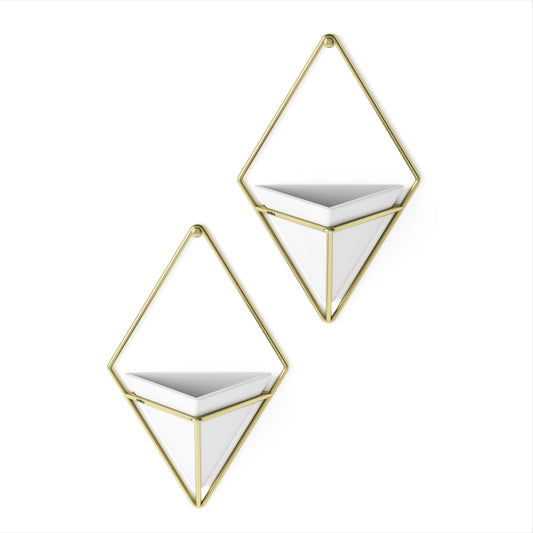 Trigg Wall Display (Set of 2)