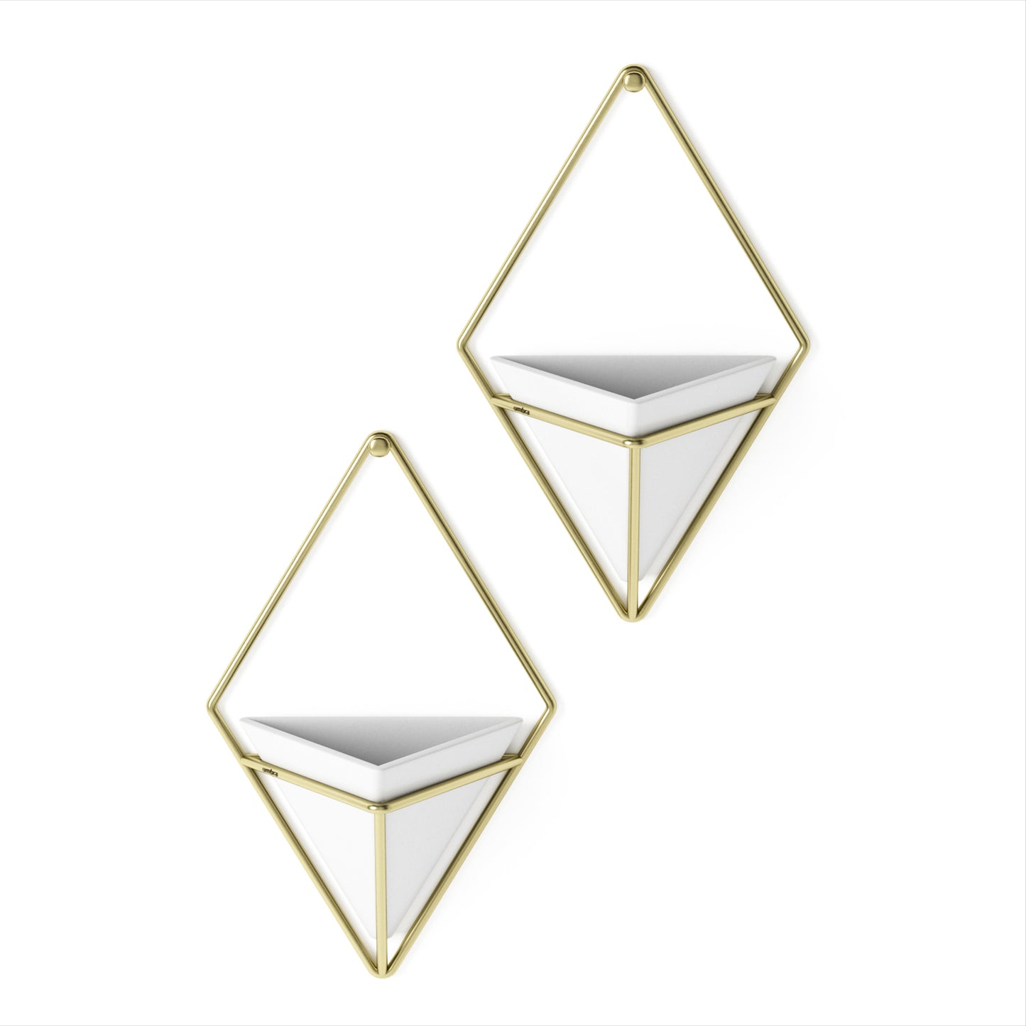 Trigg Wall Display (Set of 2)