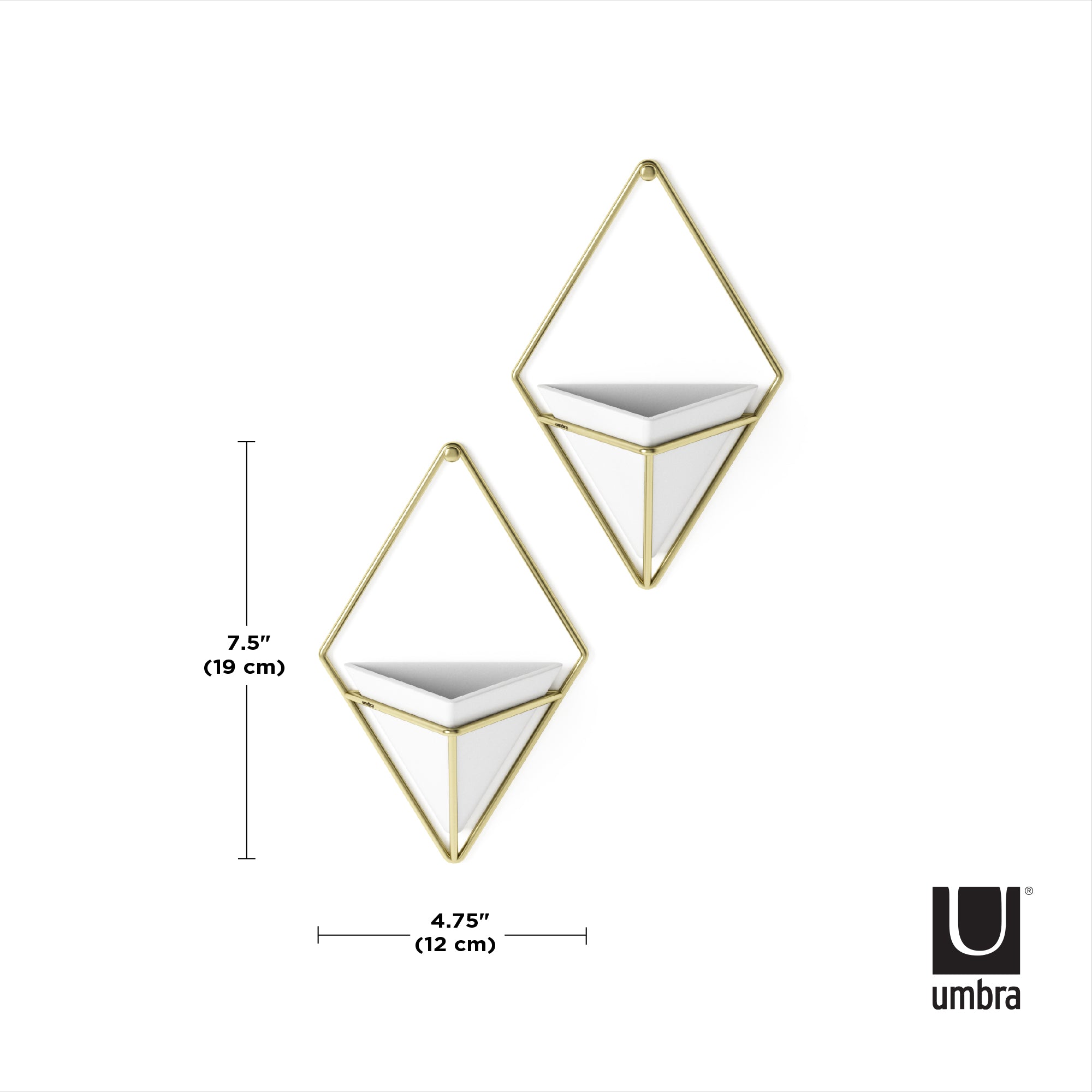 Trigg Wall Display (Set of 2)